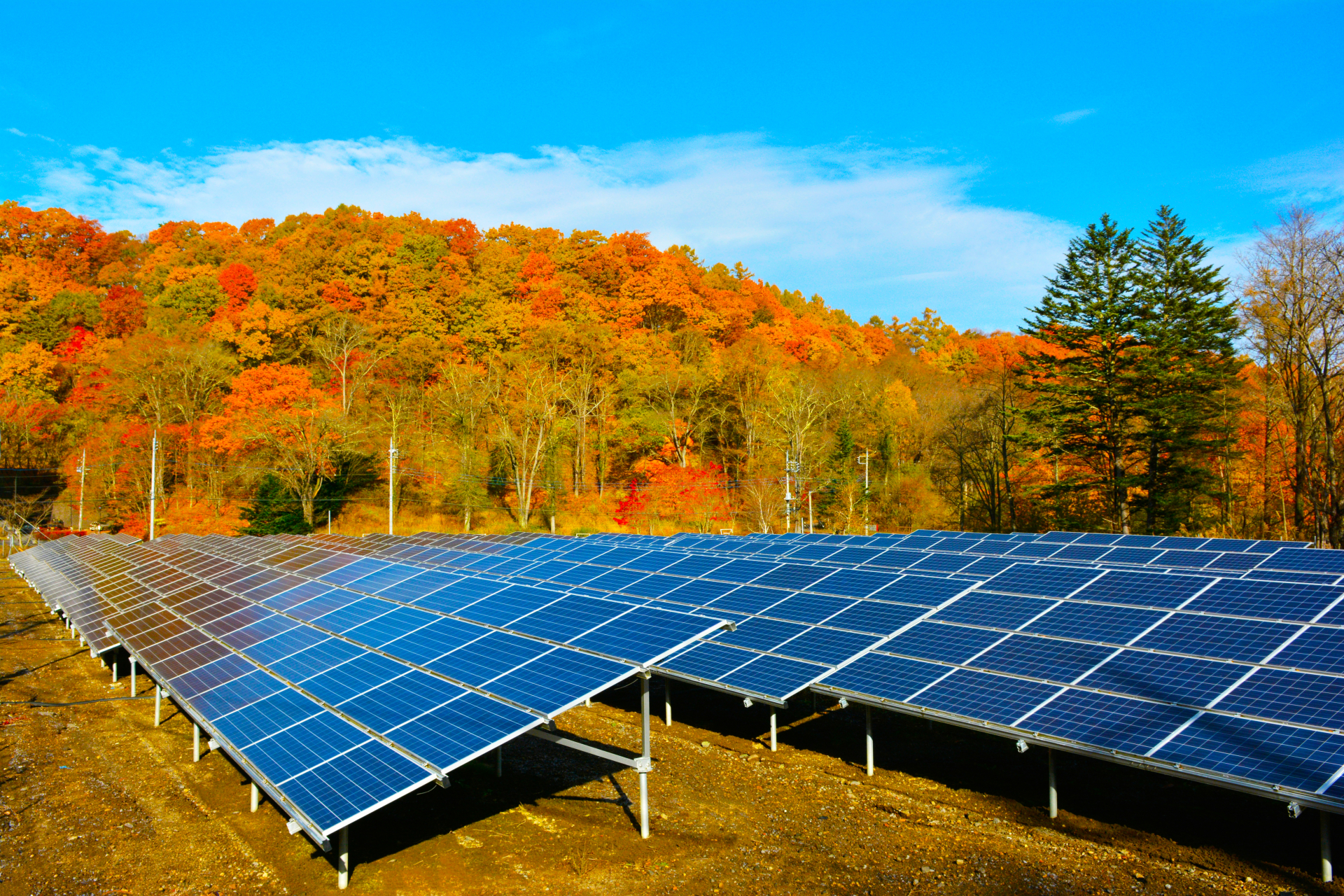 太陽光発電は家庭用と事業用でどう違う？適切な容量や確定申告を解説