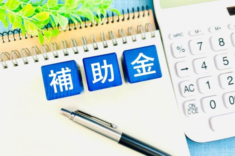 太陽光導入 補助金 助成金