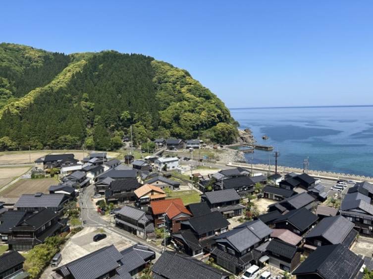 海沿い都市 自然